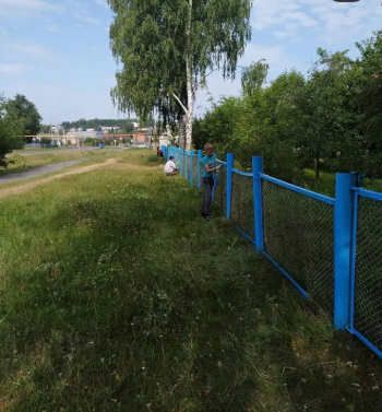 Благоустройство школьной территории