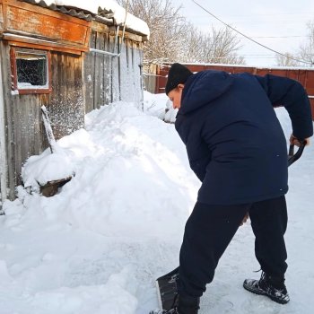 Волонтёрская деятельность